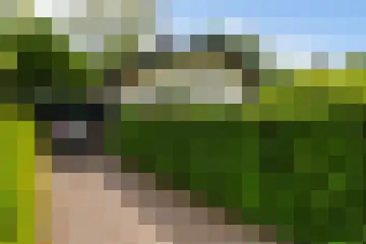 Prinsesselaan 24 Ermelo thumbnail 40