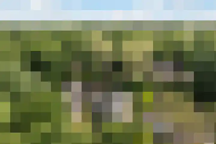 Prinsesselaan 24 Ermelo thumbnail 43