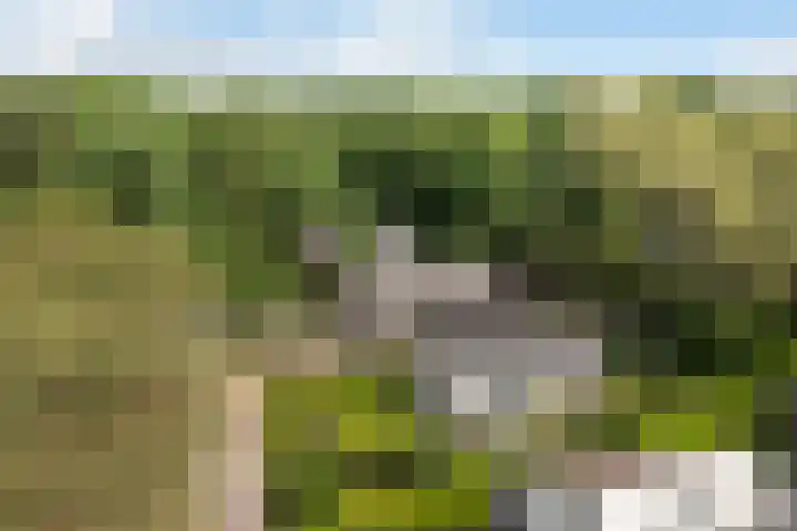 Prinsesselaan 24 Ermelo thumbnail 44