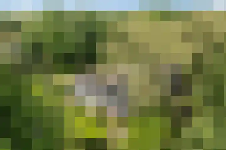 Prinsesselaan 24 Ermelo thumbnail 45