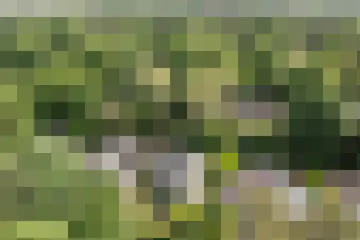 Prinsesselaan 24 Ermelo thumbnail 46