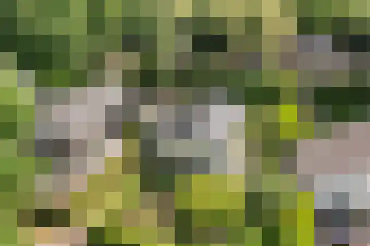 Prinsesselaan 24 Ermelo thumbnail 5