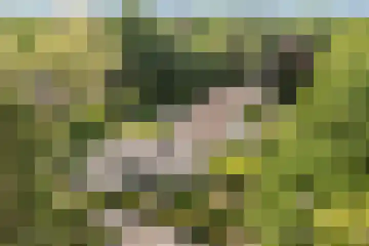 Prinsesselaan 24 Ermelo thumbnail 6