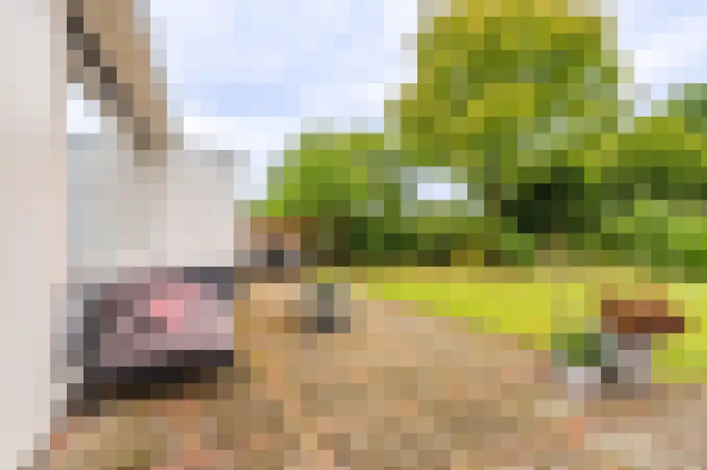Prinsesselaan 3 Hoogezand thumbnail 10