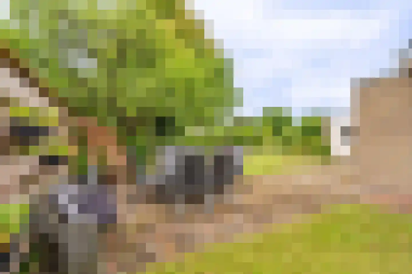 Prinsesselaan 3 Hoogezand thumbnail 4