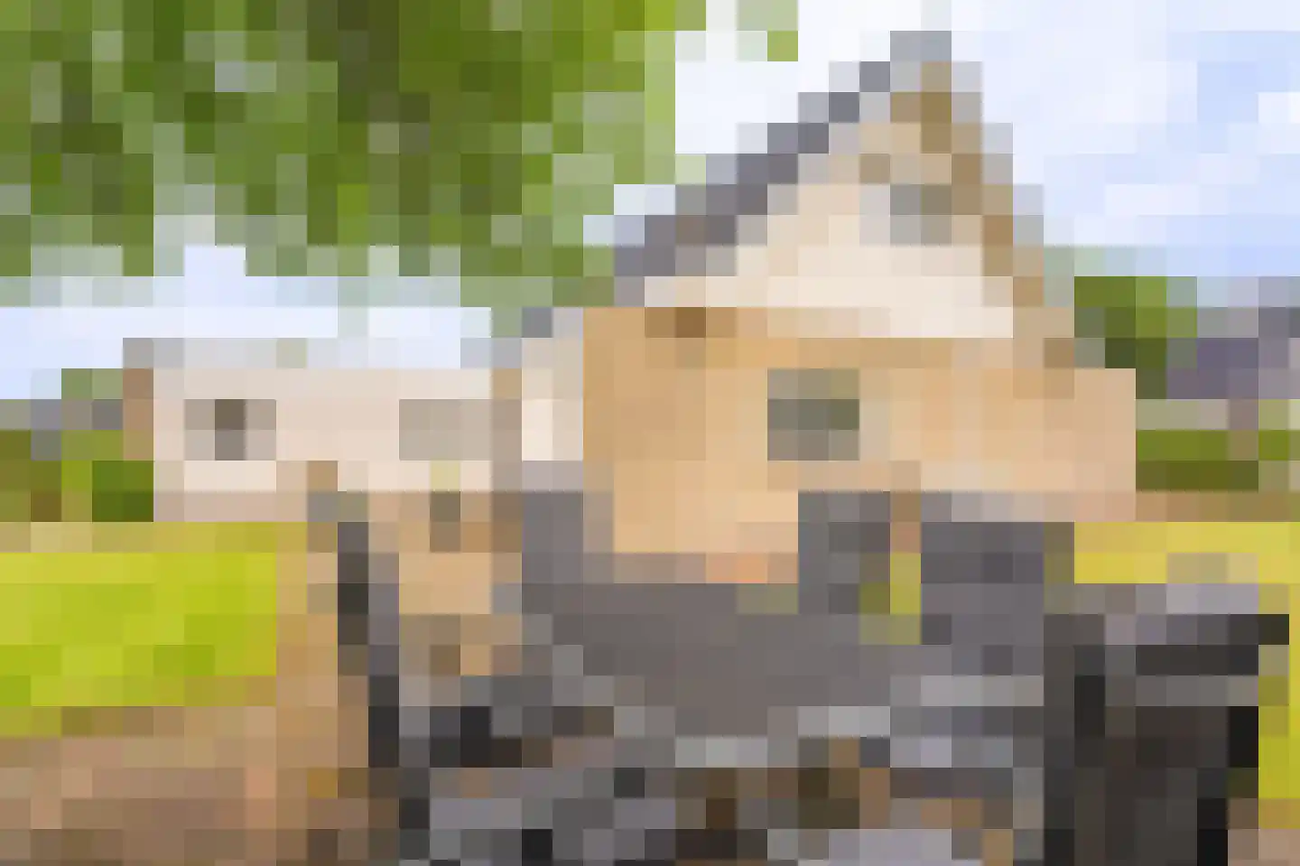 Prinsesselaan 3 Hoogezand thumbnail 62
