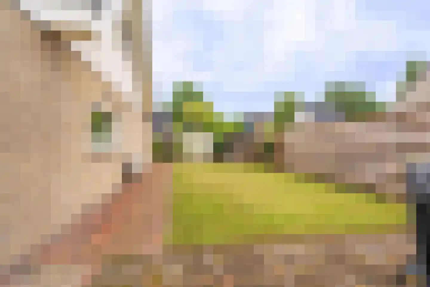 Prinsesselaan 3 Hoogezand thumbnail 64