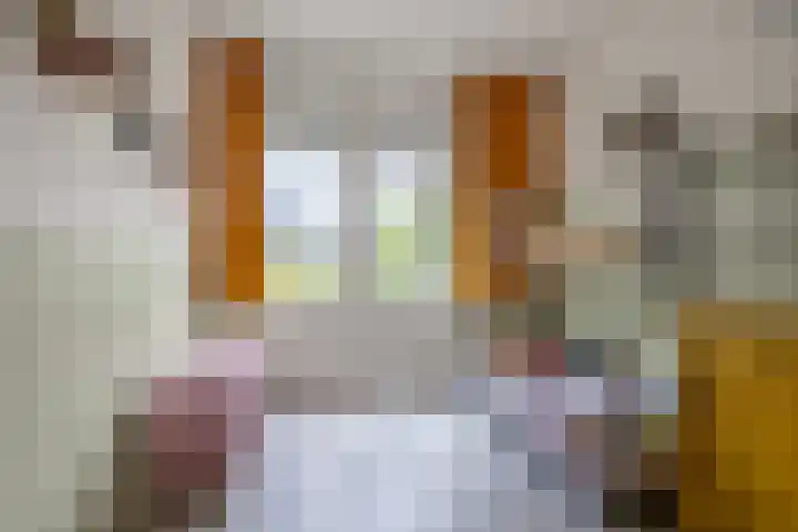 Prinsesselaan 35 Beverwijk thumbnail 36