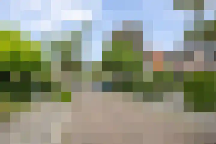 Prinsesselaan 35 Beverwijk thumbnail 51