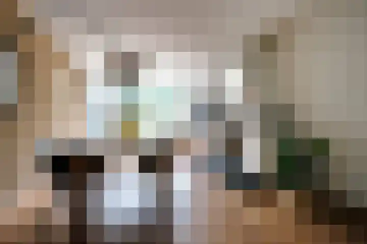 Prinsesselaan 37 Ede thumbnail 4