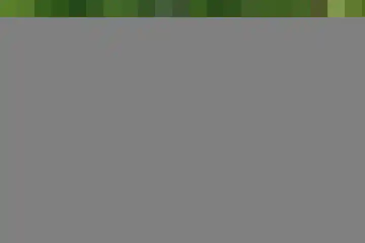 Prinsesselaan 4 Ermelo thumbnail 29