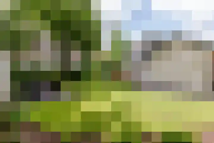 Prinsesselaan 4 Ermelo thumbnail 35