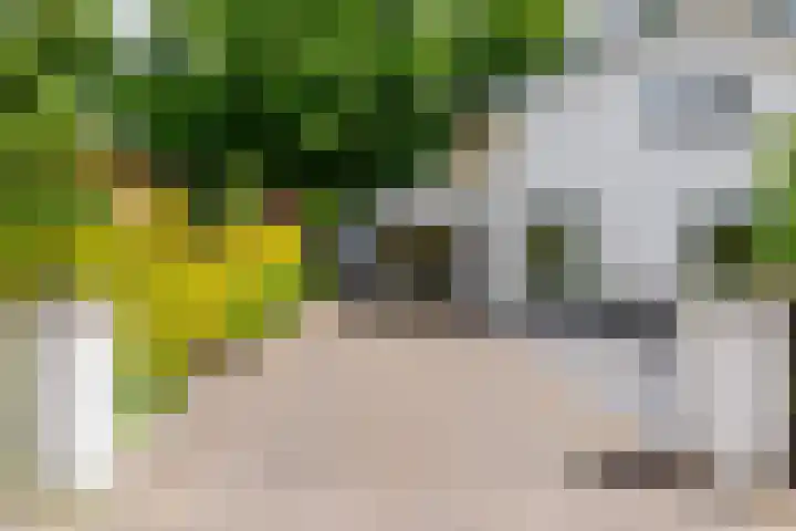 Prinsesselaan 4 Ermelo thumbnail 37