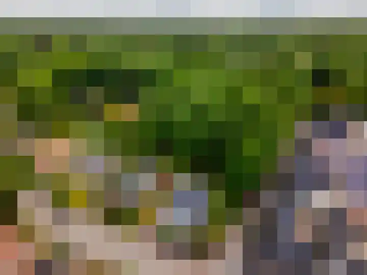 Prinsesselaan 4 Ermelo thumbnail 43