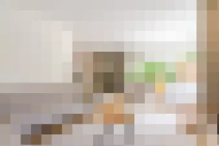 Prinsesselaan 4 Ermelo thumbnail 5