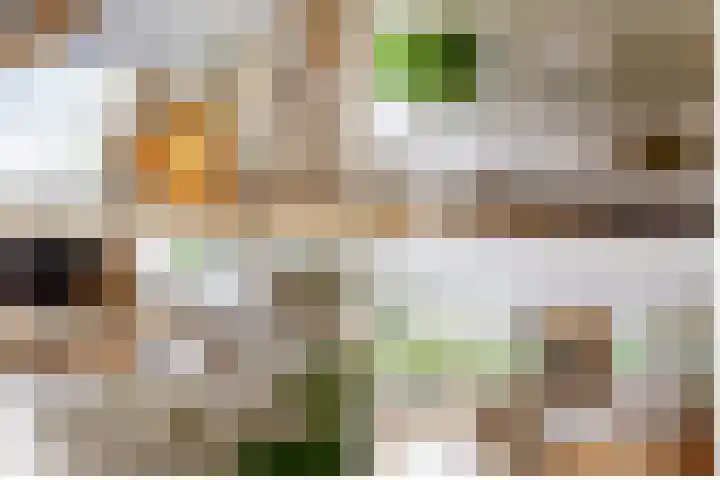 Prinsesselaan 4 Ermelo thumbnail 6