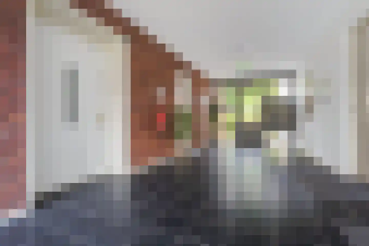 Prinsesselaan 5 b Ermelo thumbnail 31