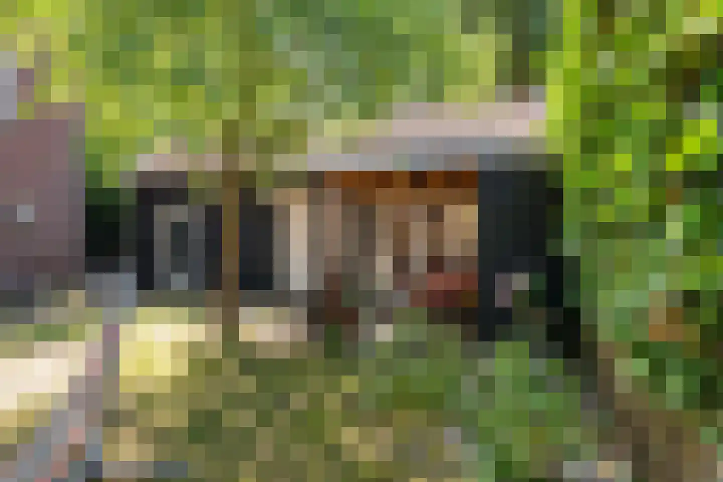 Prinsesselaan 54 Bergen (NH) thumbnail 18