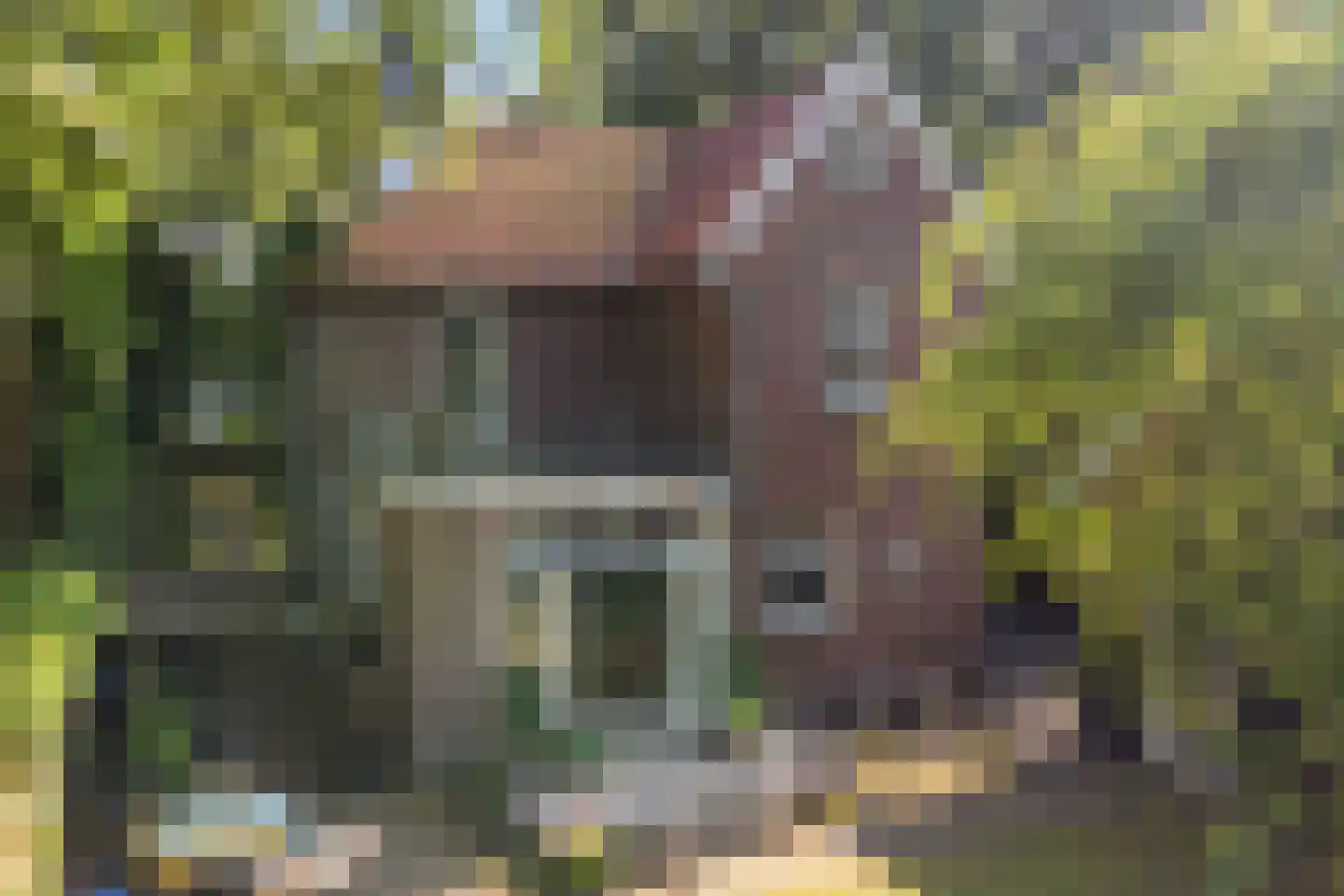 Prinsesselaan 54 Bergen (NH) thumbnail 21