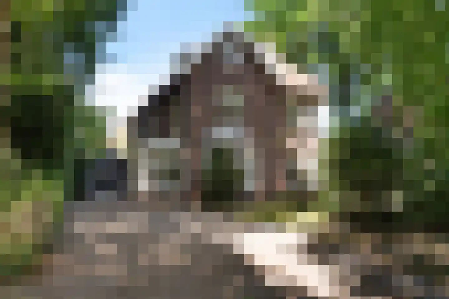 Prinsesselaan 54 Bergen (NH) thumbnail 39