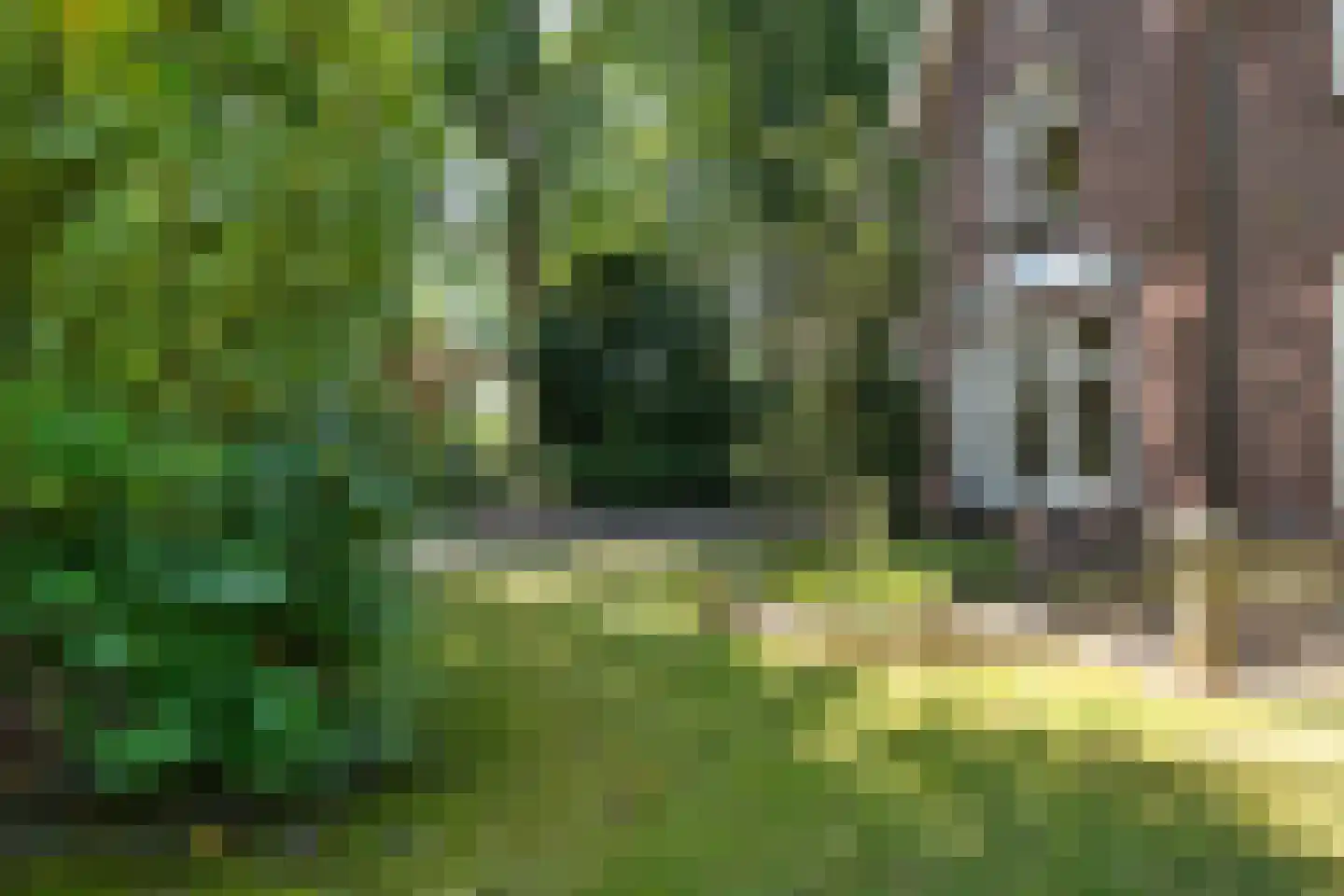 Prinsesselaan 54 Bergen (NH) thumbnail 40