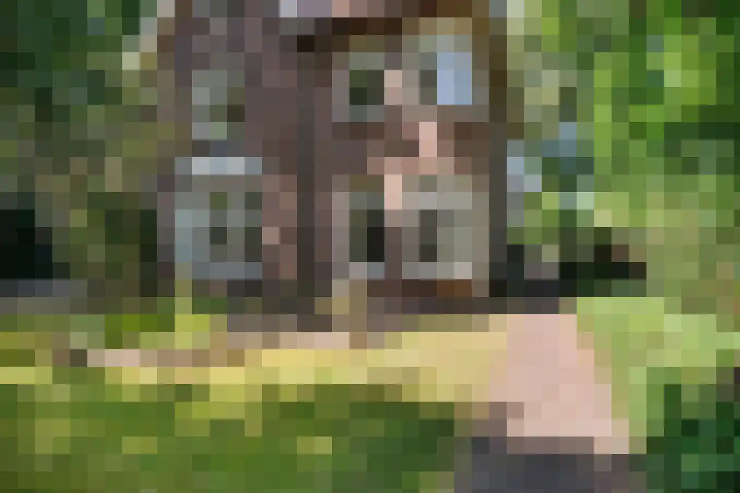 Prinsesselaan 54 Bergen (NH) thumbnail 41