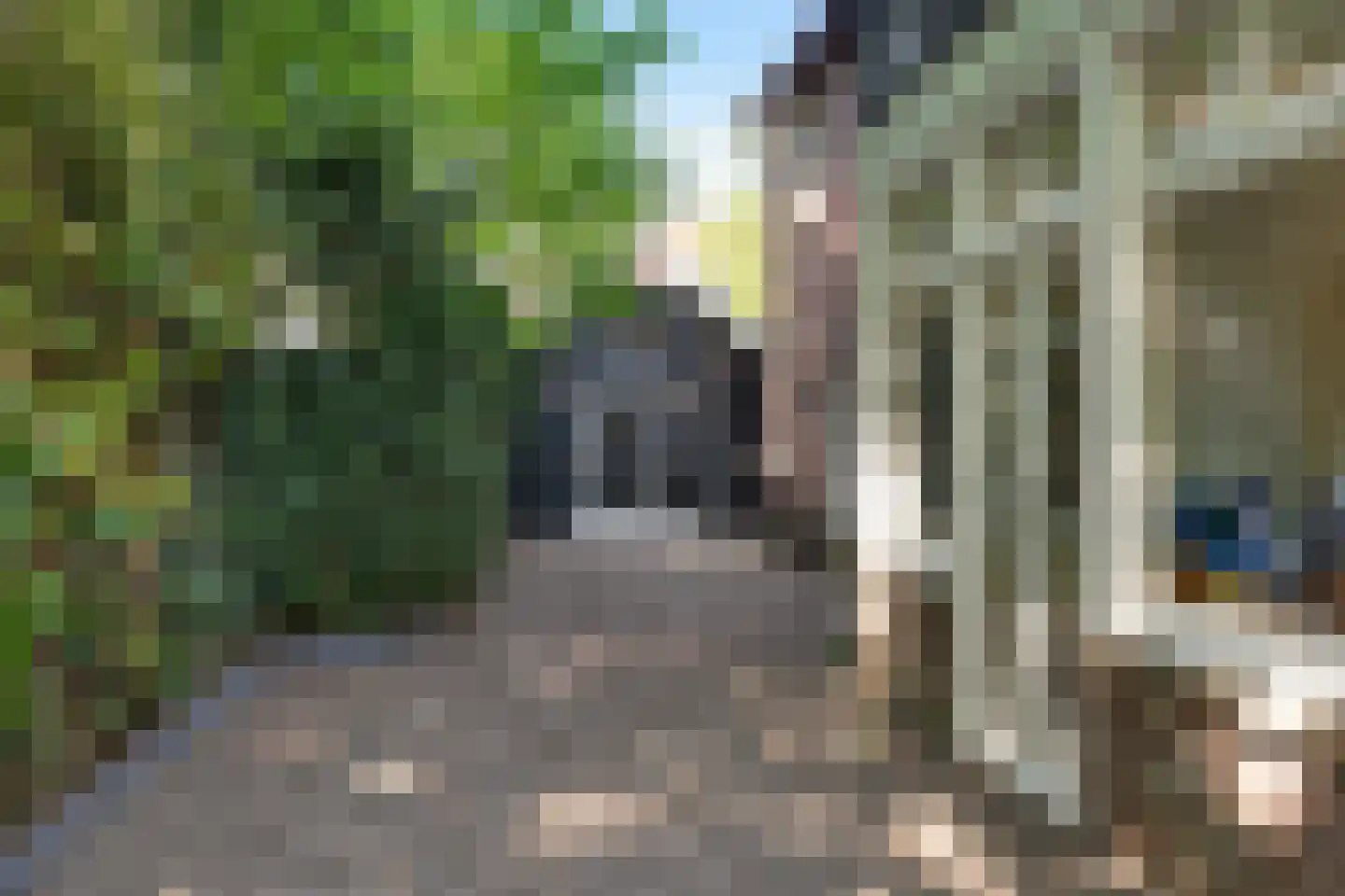Prinsesselaan 54 Bergen (NH) thumbnail 44