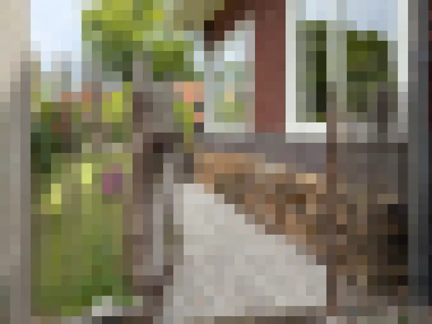 Prinsesselaan 7 Bergen (NH) thumbnail 12