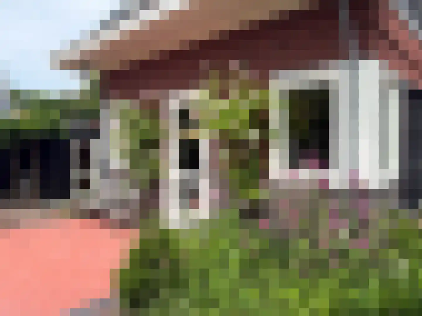 Prinsesselaan 7 Bergen (NH) thumbnail 52