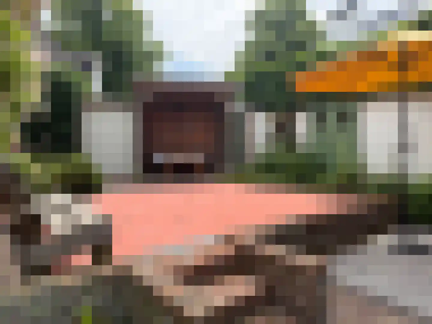 Prinsesselaan 7 Bergen (NH) thumbnail 54
