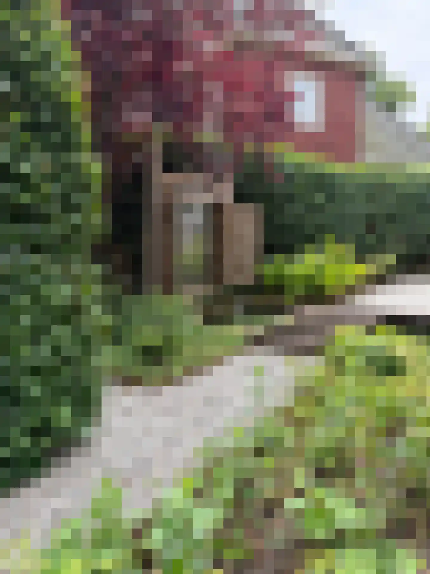 Prinsesselaan 7 Bergen (NH) thumbnail 57