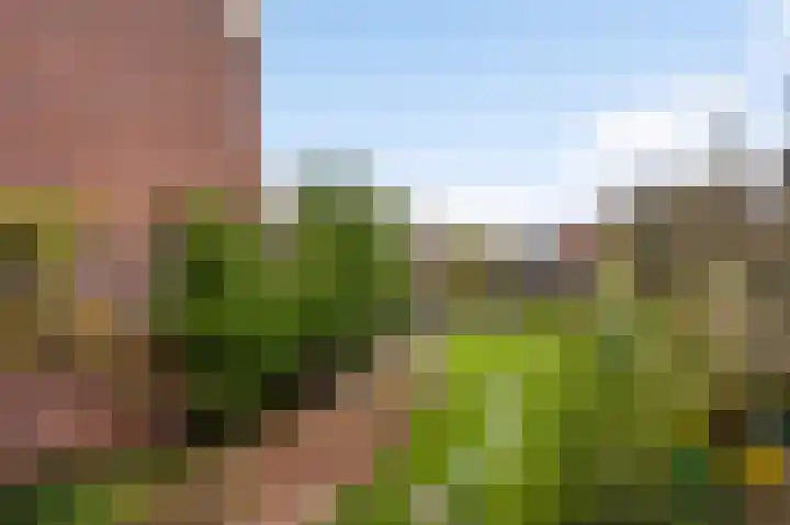 Prinsesselaan 7 Roermond thumbnail 24