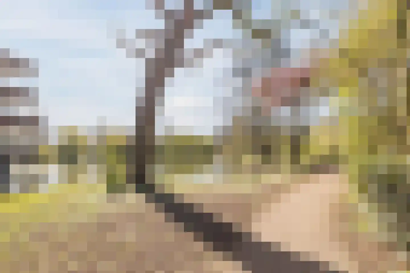 Prinsessenhof 3 Harmelen thumbnail 51