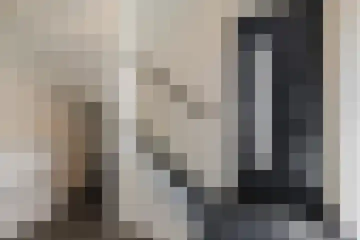 Prinsessenlaan 10 Oud Gastel thumbnail 13