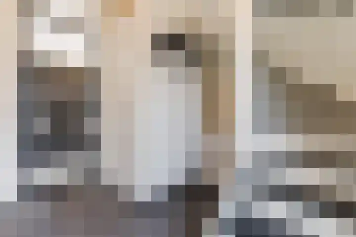 Prinsessenlaan 10 Oud Gastel thumbnail 14