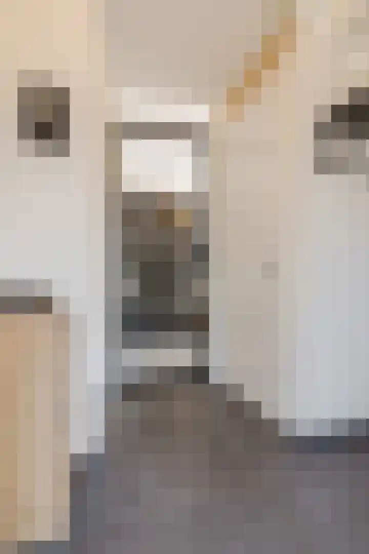 Prinsessenlaan 10 Oud Gastel thumbnail 15