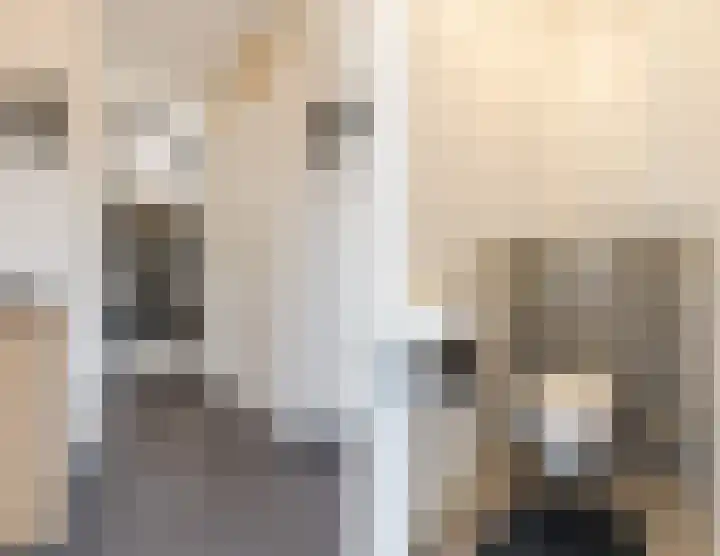 Prinsessenlaan 10 Oud Gastel thumbnail 17
