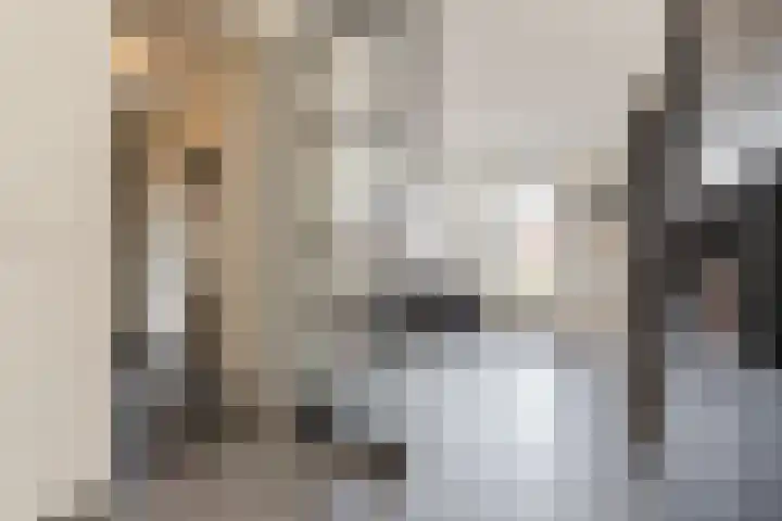 Prinsessenlaan 10 Oud Gastel thumbnail 18