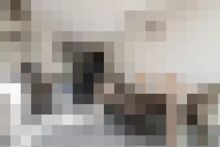 Prinsessenlaan 10 Oud Gastel thumbnail 27