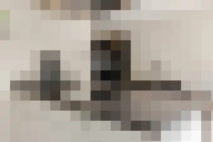 Prinsessenlaan 10 Oud Gastel thumbnail 30