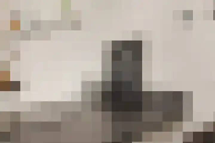Prinsessenlaan 10 Oud Gastel thumbnail 31