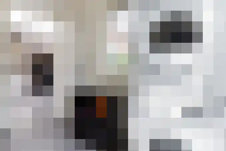 Prinsessenlaan 10 Oud Gastel thumbnail 35