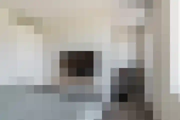 Prinsessenlaan 10 Oud Gastel thumbnail 38
