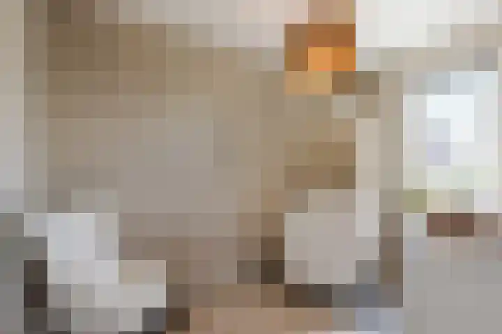 Prinsessenlaan 10 Oud Gastel thumbnail 41