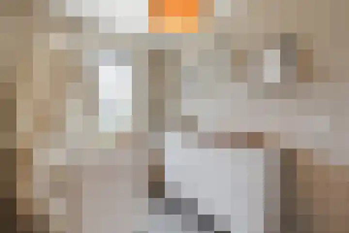 Prinsessenlaan 10 Oud Gastel thumbnail 42
