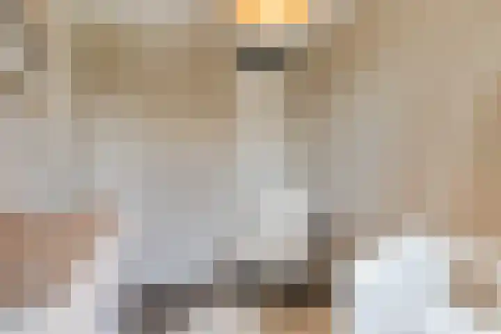 Prinsessenlaan 10 Oud Gastel thumbnail 43
