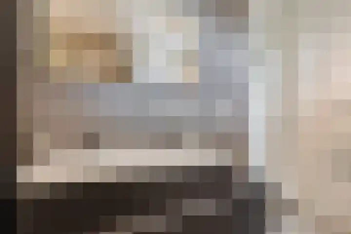 Prinsessenlaan 10 Oud Gastel thumbnail 46