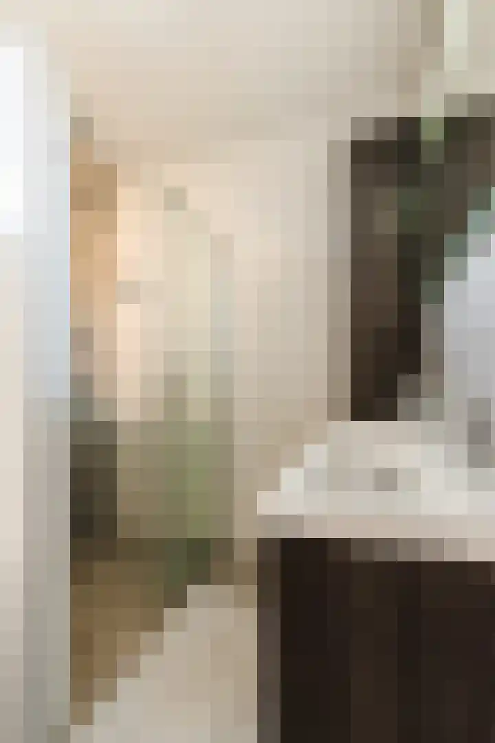 Prinsessenlaan 10 Oud Gastel thumbnail 47