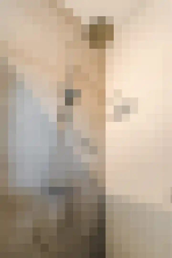 Prinsessenlaan 10 Oud Gastel thumbnail 48