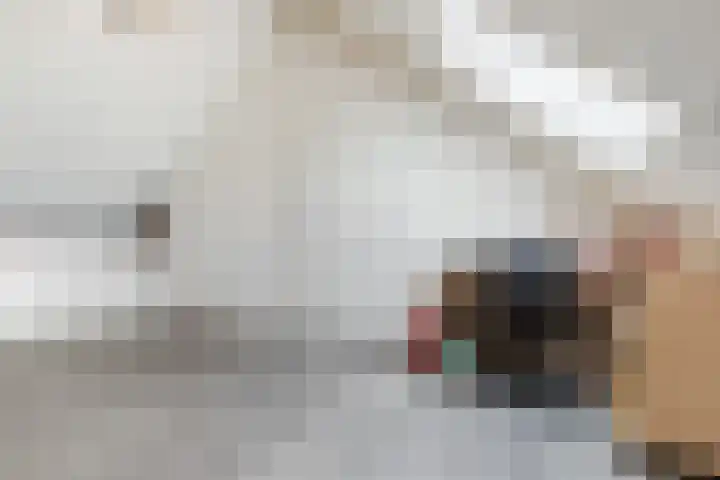 Prinsessenlaan 10 Oud Gastel thumbnail 56